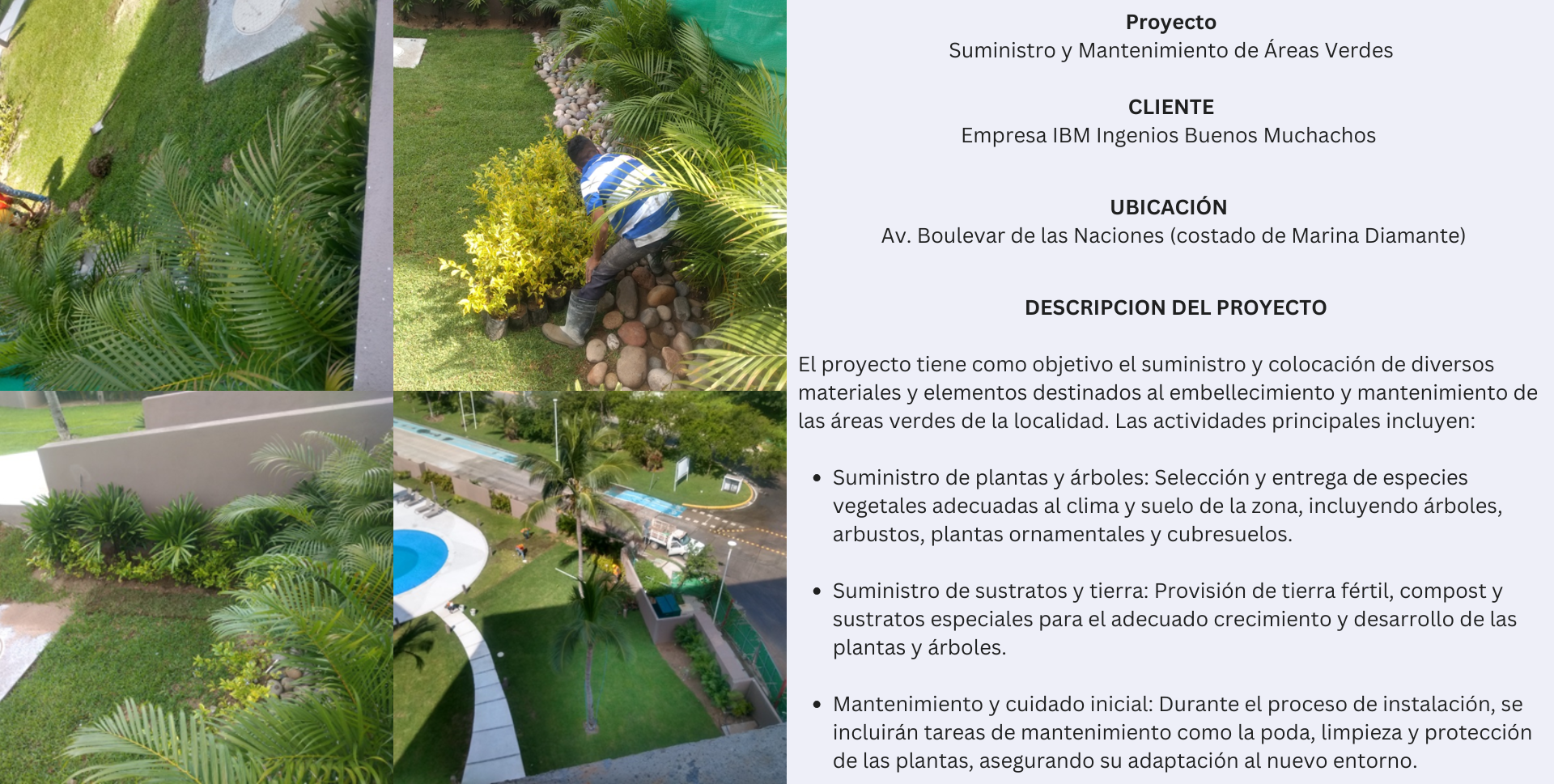 Suministro de areas verdes